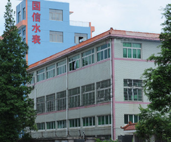 知名甯(ning)波水表廠家