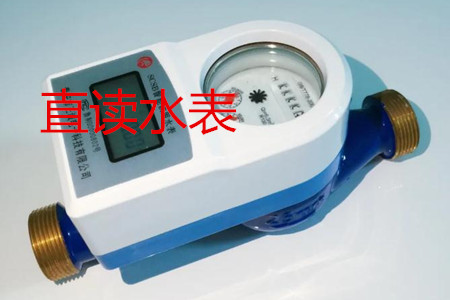 甯波生産直讀(du)水表的廠家有(you)哪些?