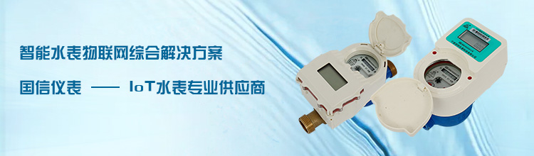 國(guo)信儀表-IOT水表專(zhuān)業供應商